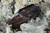 Ruby Red Brookite Crystal On Quartz - Pakistan #111333-2